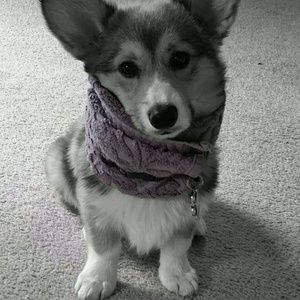 Meet your Posher, Tamara